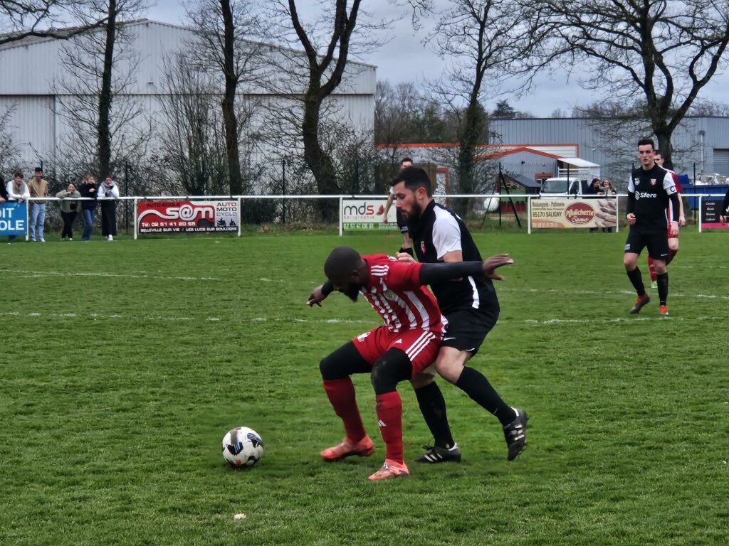 FC Saligny. Football. D1.